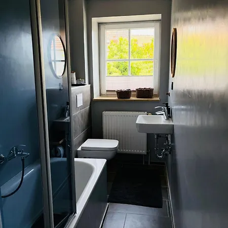 Seestern Apartment Neukieritzsch